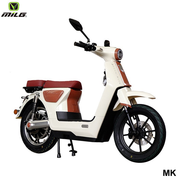 Electric Motorbike 1000w For 2 People best